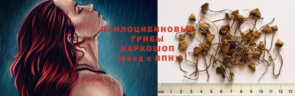 кокс Дмитровск