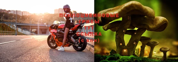 круглые Дмитриев