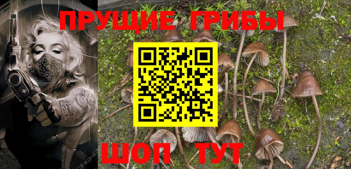 Галлюциногенные грибы MAGIC MUSHROOMS Верхний Уфалей