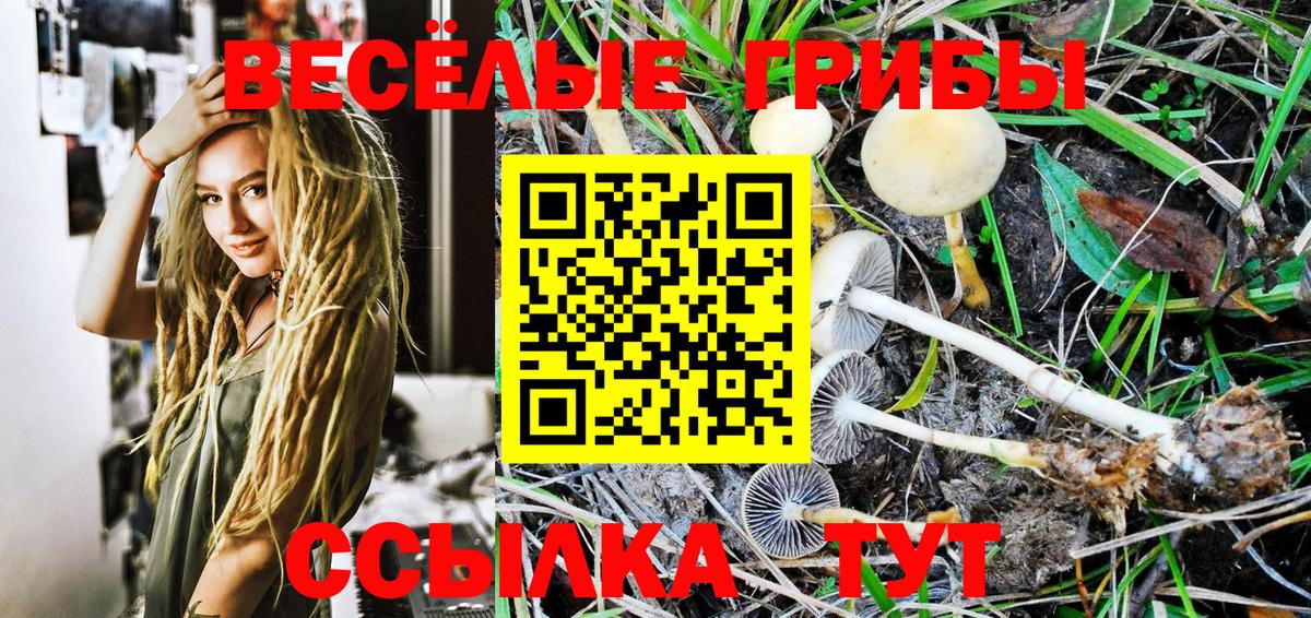 Галлюциногенные грибы MAGIC MUSHROOMS  Галлюциногенные грибы MAGIC MUSHROOMS  Вход с VPN  Верхний Уфалей 