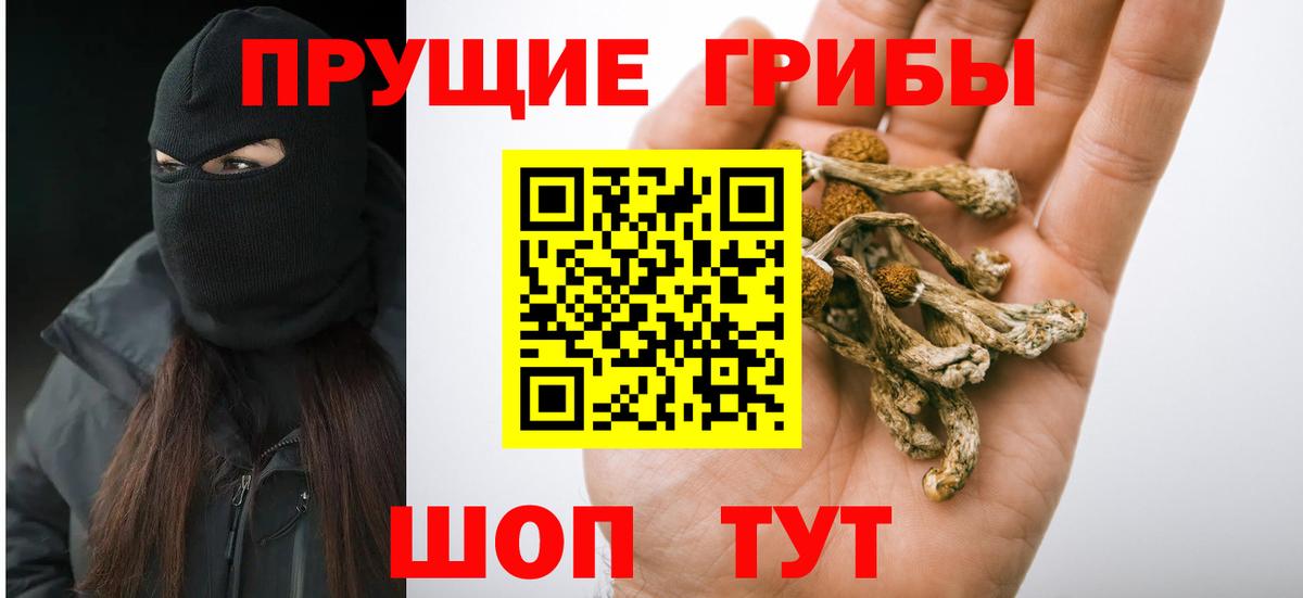 где купить наркоту  Верхний Уфалей  Псилоцибиновые грибы Magic Shrooms 